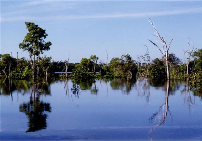 Envira