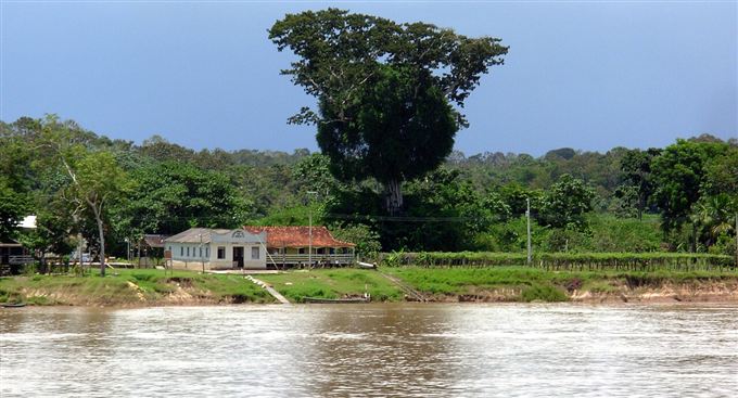 Urucurituba